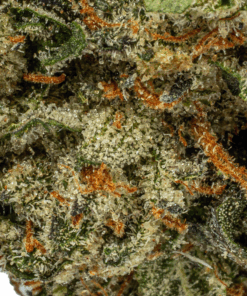 Humboldt Frost (AAAA) - Image 4