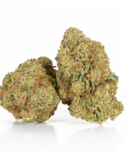 Gelato (AAA+) - Image 1