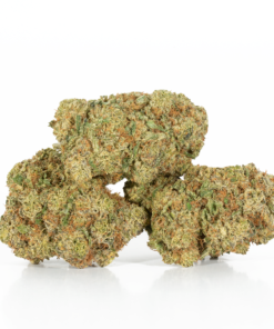 Gelato (AAA+) - Image 2