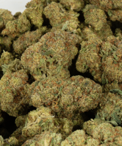 Gelato (AAA+) - Image 4