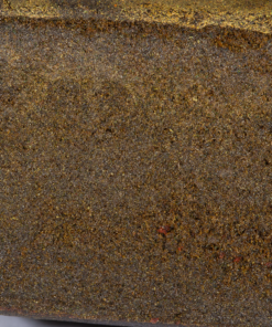 Lion Hash - Image 3