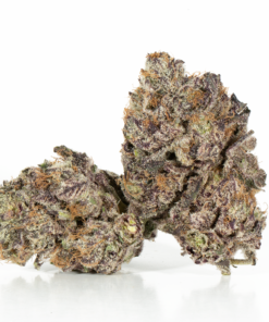 Hawaiian Honey Purple (Craft) - Image 1