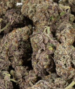 Hawaiian Honey Purple (Craft) - Image 4
