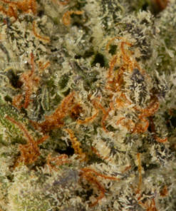 (Smalls) L.A Confidential (AAAA) - Image 5