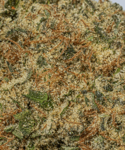 Purple Punch (AAA+) - Image 4