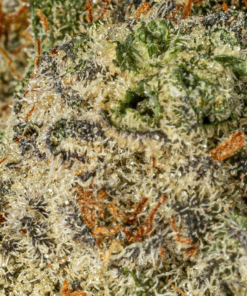 Lucky Charms (AAA) - Image 5