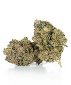 Master Bubba (AAA+) - Image 1