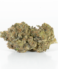 Master Bubba (AAA+) - Image 3
