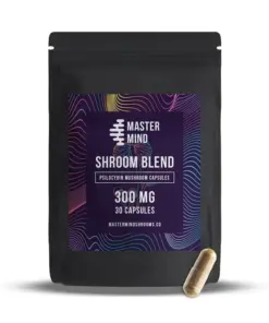 Mastermind - Mushroom Blend Capsules (30x300mg) - Image 1