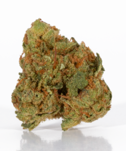 Maui Mango Diesel (AA) - Image 3