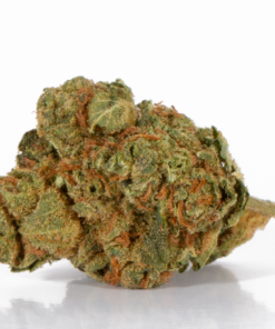 Maui Mango Diesel (AA) - Image 4