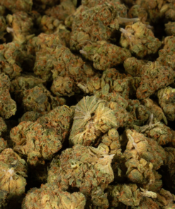 Maui Mango Diesel (AA) - Image 6