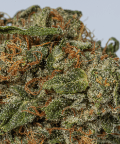 Bubba Kush (AA+) - Image 5