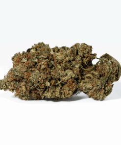 Grease Monkey (AA) - Image 3