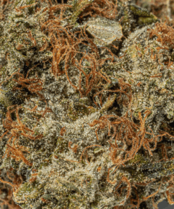 Grease Monkey (AA) - Image 5