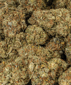 Grease Monkey (AA) - Image 4