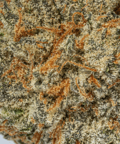 Blackberry Headband (AAA+) - Image 4