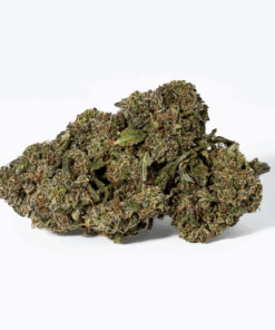 Comatose (AAA+) - Image 3