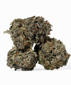 Gas Mask (AAAA) - Image 3