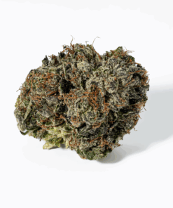 Gas Mask (AAAA) - Image 3