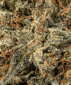 Pink Caviar (AAAA) - Image 3