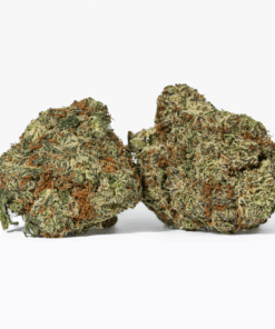 Cherry Dosi (AAA+) - Image 2