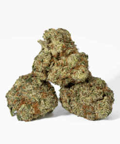 Cherry Dosi (AAA+) - Image 1