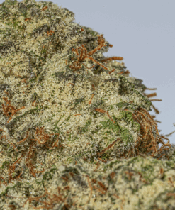 Cherry Dosi (AAA+) - Image 4