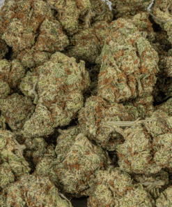 Cherry Dosi (AAA+) - Image 5