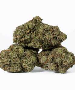 Greasy Pink Bubba (AAAA) - Image 1