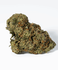 Gorilla Pink (AAA+) - Image 3