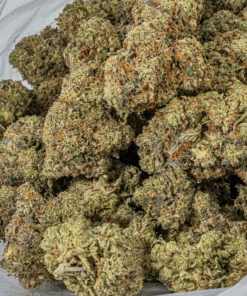 Gorilla Pink (AAA+) - Image 5