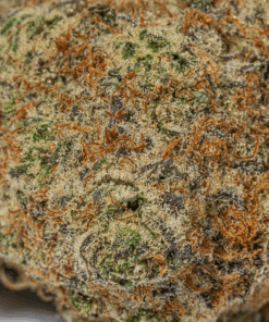 Mandarin Zkittlez (AAA+) - Image 4