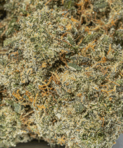 Rainbow Jones (AAAA) - Image 4