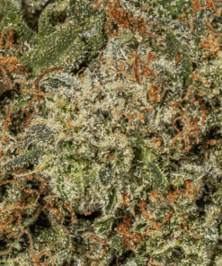 Rockstar Tuna (AAA+) - Image 4