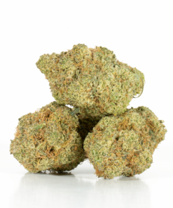 Rocket Fuel (AAA+) - Image 4