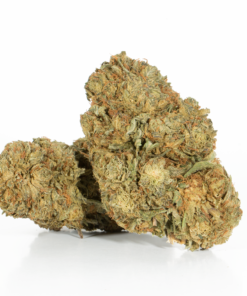 Romulan (AA) - Image 1