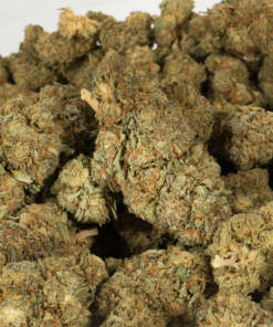 Romulan (AA) - Image 3