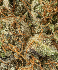 Ultra Pink (AAA+) - Image 5