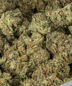 Ultra Pink (AAA+) - Image 4