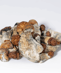 Vietnamese Mushrooms - Image 3