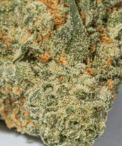 Super Nuken (AAA) - Image 5