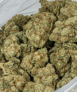 Super Nuken (AAA) - Image 4