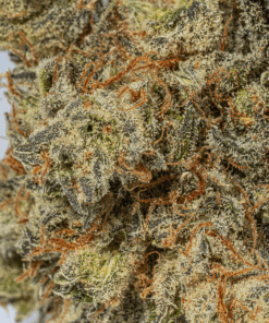 Montana Silver (AAA) - Image 5