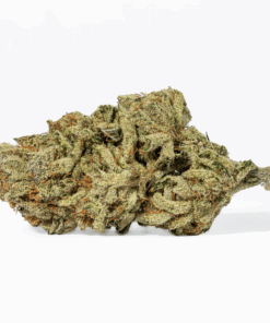 Jasmine Thai (AAA+) - Image 3