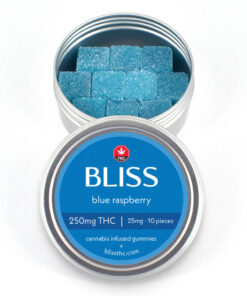 Bliss - THC Gummies (250mg) - Blue Raspberry - Image 1
