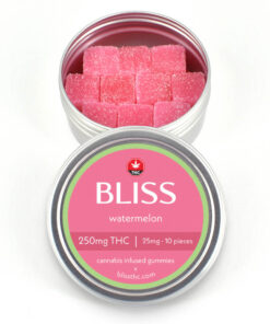 Bliss - THC Gummies (250mg) - Watermelon - Image 1