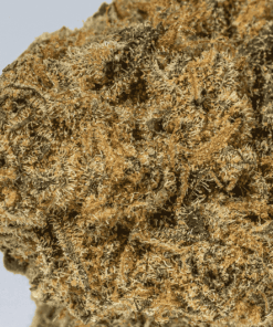 Flap Jack (AA) - Image 5