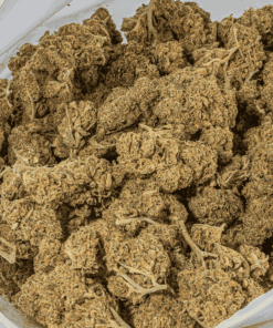 Flap Jack (AA) - Image 4
