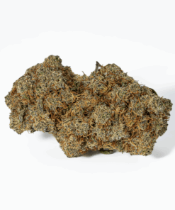 Orange Julius (AA+) - Image 3